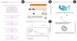 Socrates: Data Story Generation via Adaptive Machine-Guided Elicitation of User Feedback